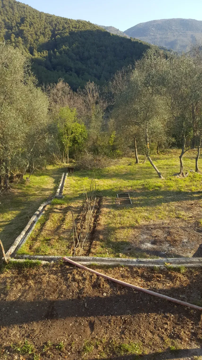 Bergerie dans la campagne