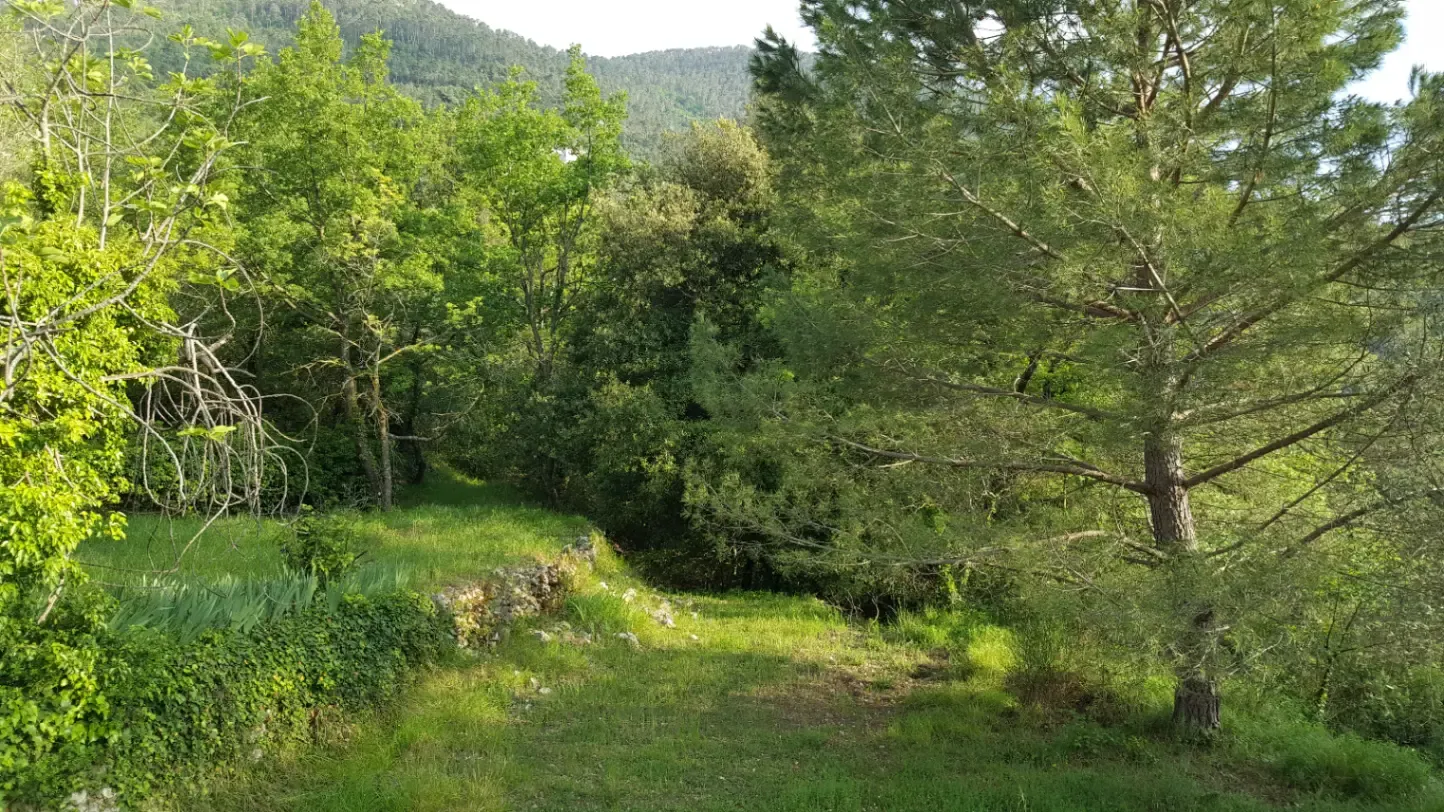 Bergerie dans la campagne