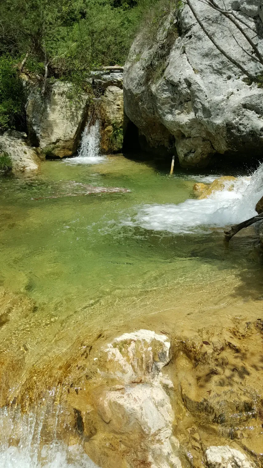 Bergerie dans la campagne