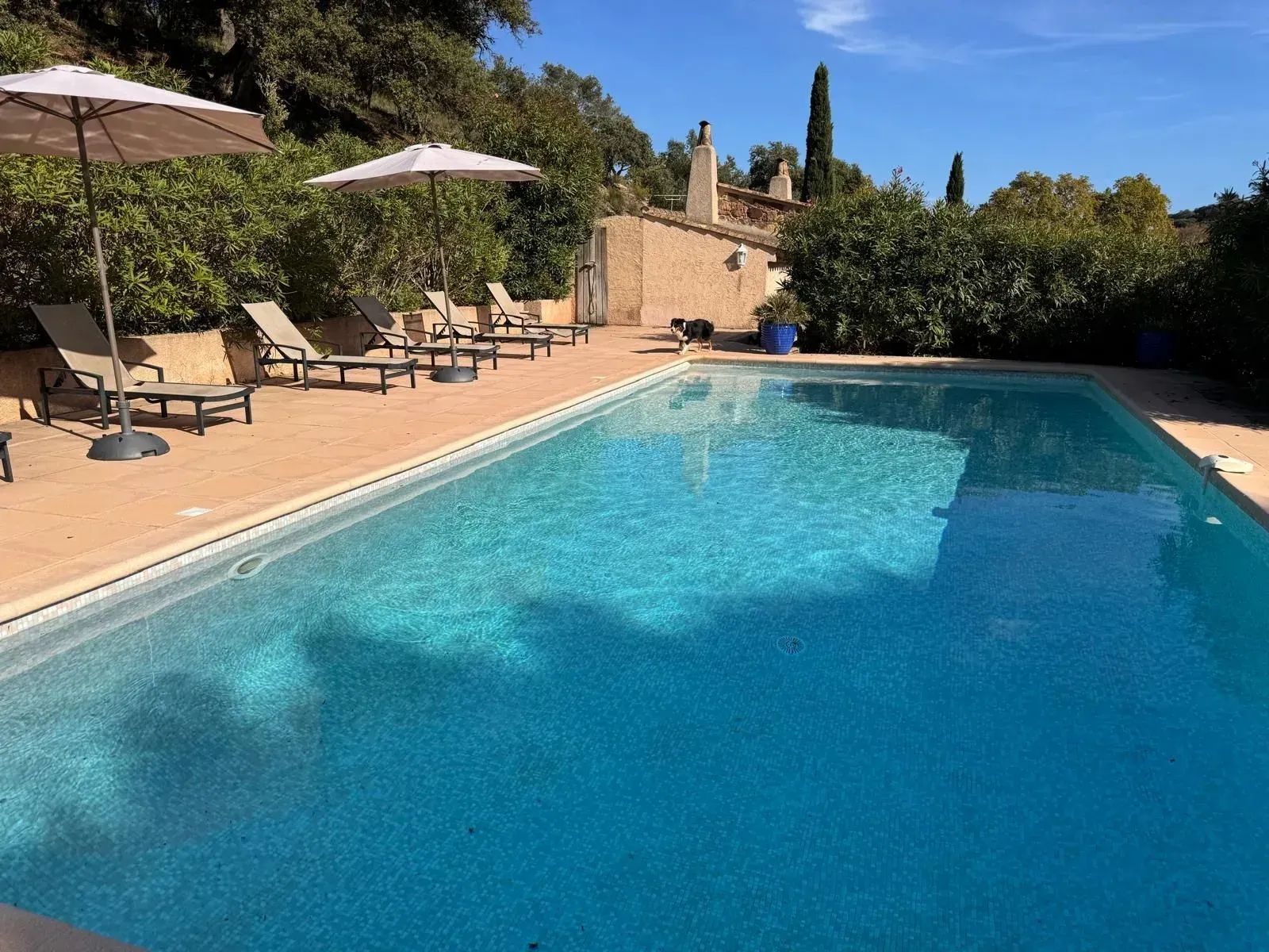 La Bergerie: Villa for Events in Saint-Raphael's Natural Setting