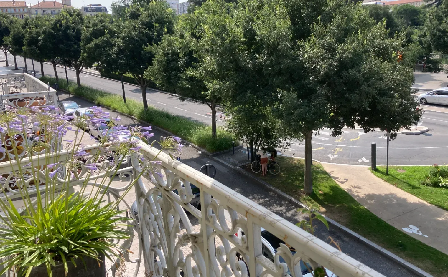 Large Haussmanian flat overlooking Parc Jouvet
