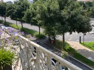 Large Haussmanian flat overlooking Parc Jouvet