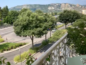 Large Haussmanian flat overlooking Parc Jouvet