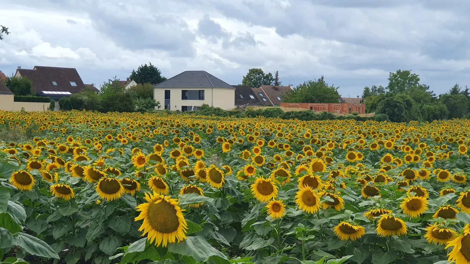 Modern family home 25 minutes from Paris