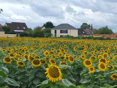 Modern family home 25 minutes from Paris