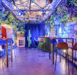 Tropical Theatrical Venue with Black Cinema Curtain & Spotlight Atmosphere