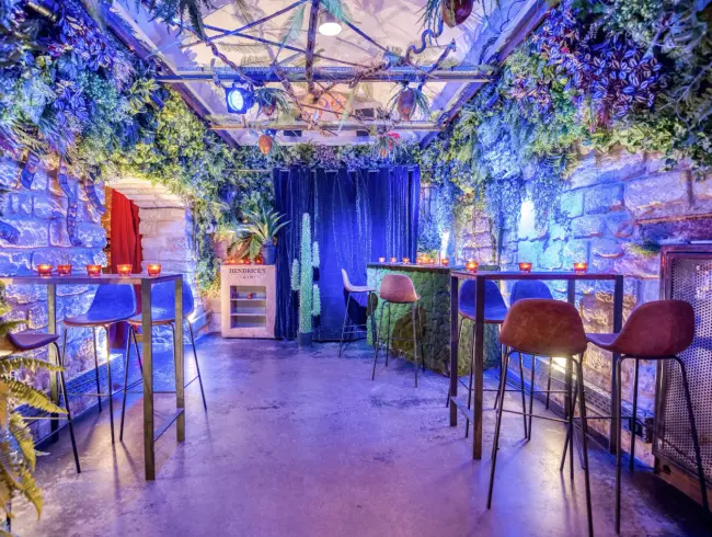 Lieu Théâtral Tropical avec Rideau de Cinéma Noir et Ambiance Projecteurs