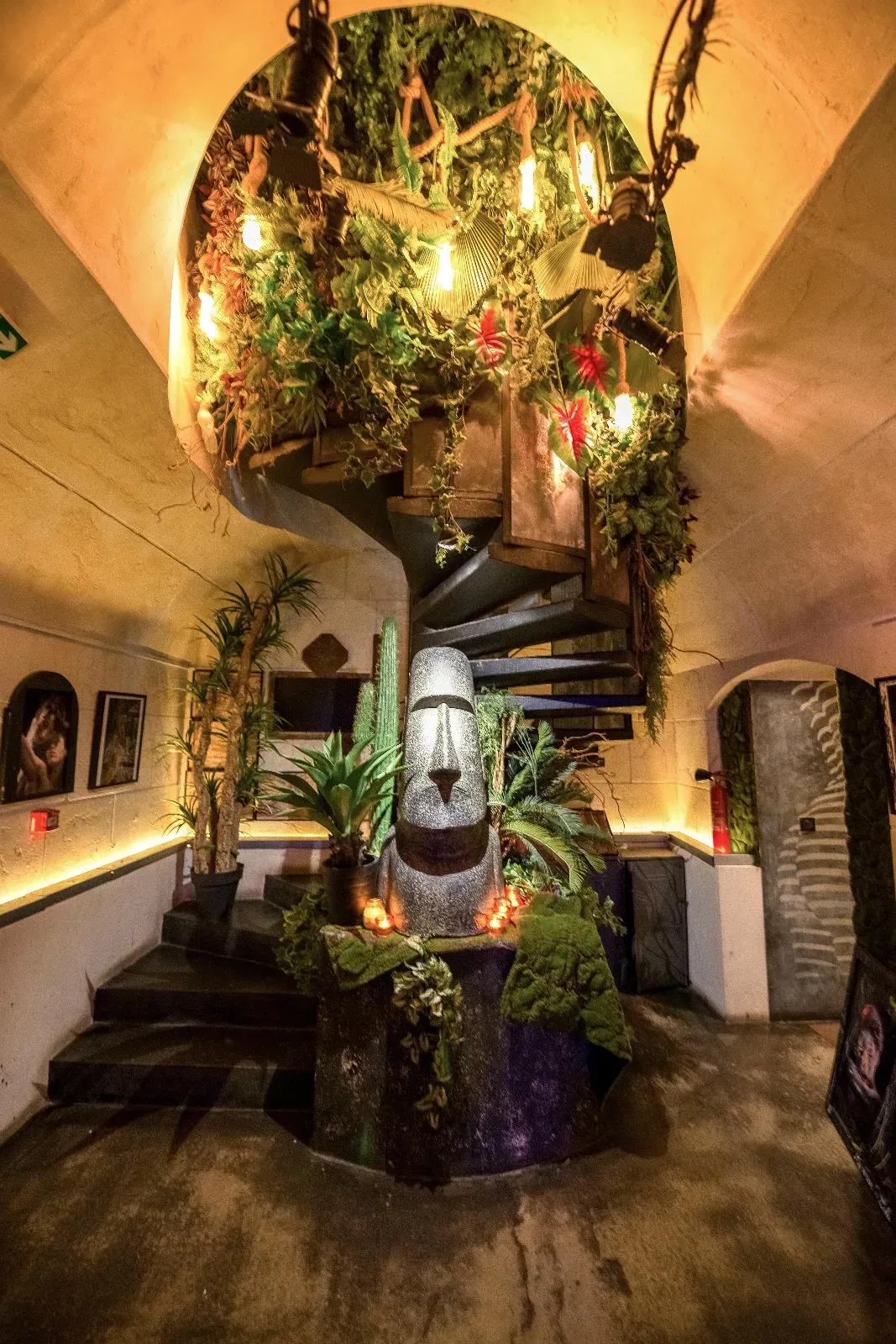 Lieu Théâtral Tropical avec Rideau de Cinéma Noir et Ambiance Projecteurs