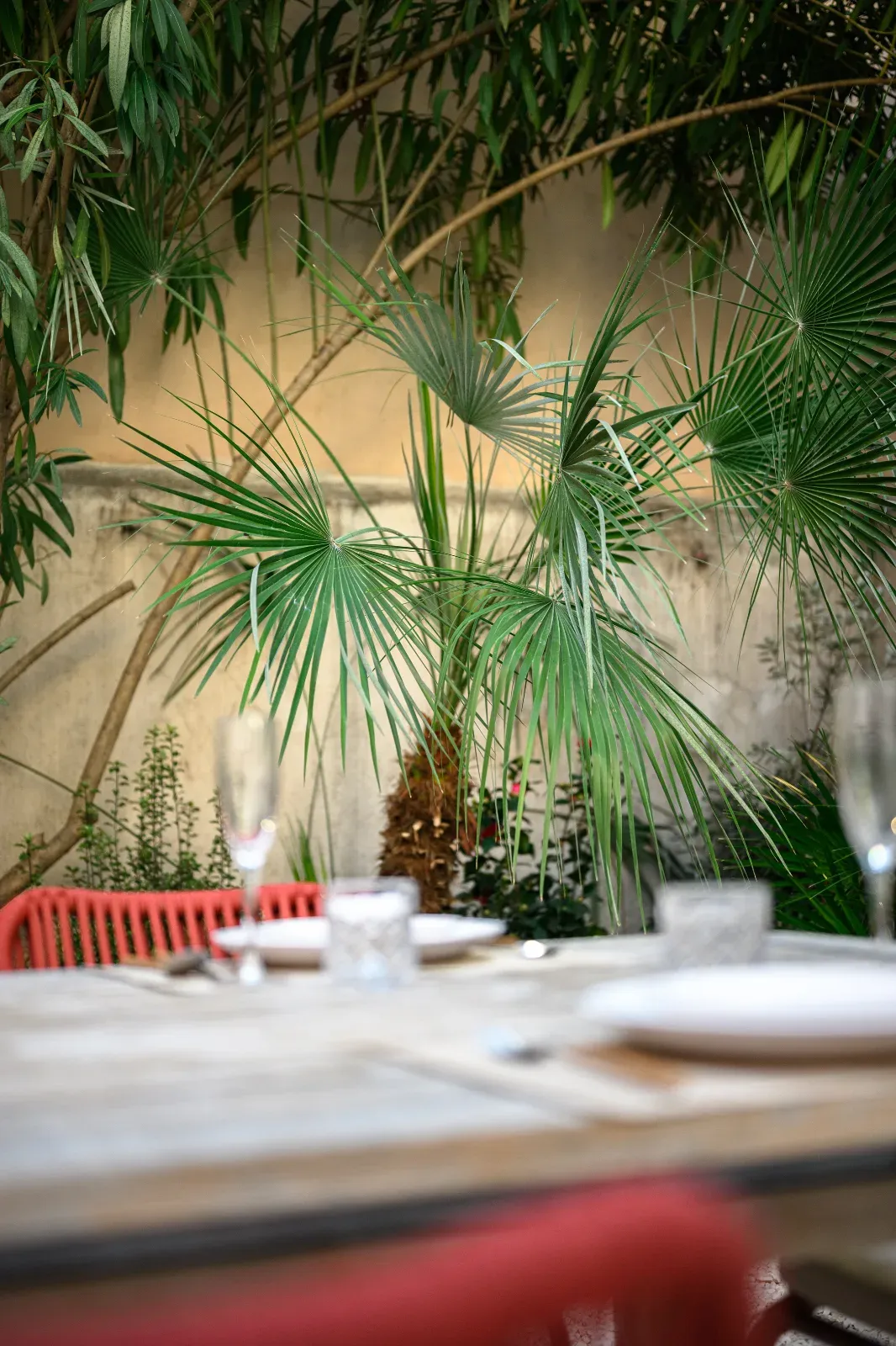 Appartement chic 3 chambres à Cannes – Avec jardin, près du Palais