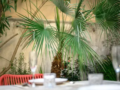 Chic 3-Bedroom Cannes Apartment with Garden Near Palais