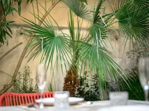 Appartement chic 3 chambres à Cannes – Avec jardin, près du Palais