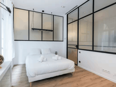 Luxury Renovated Loft in Cannes with Balconies & Sonos System