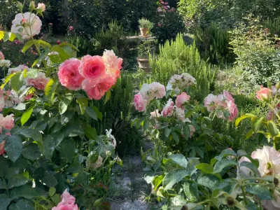 Estate of a former Corsican convent