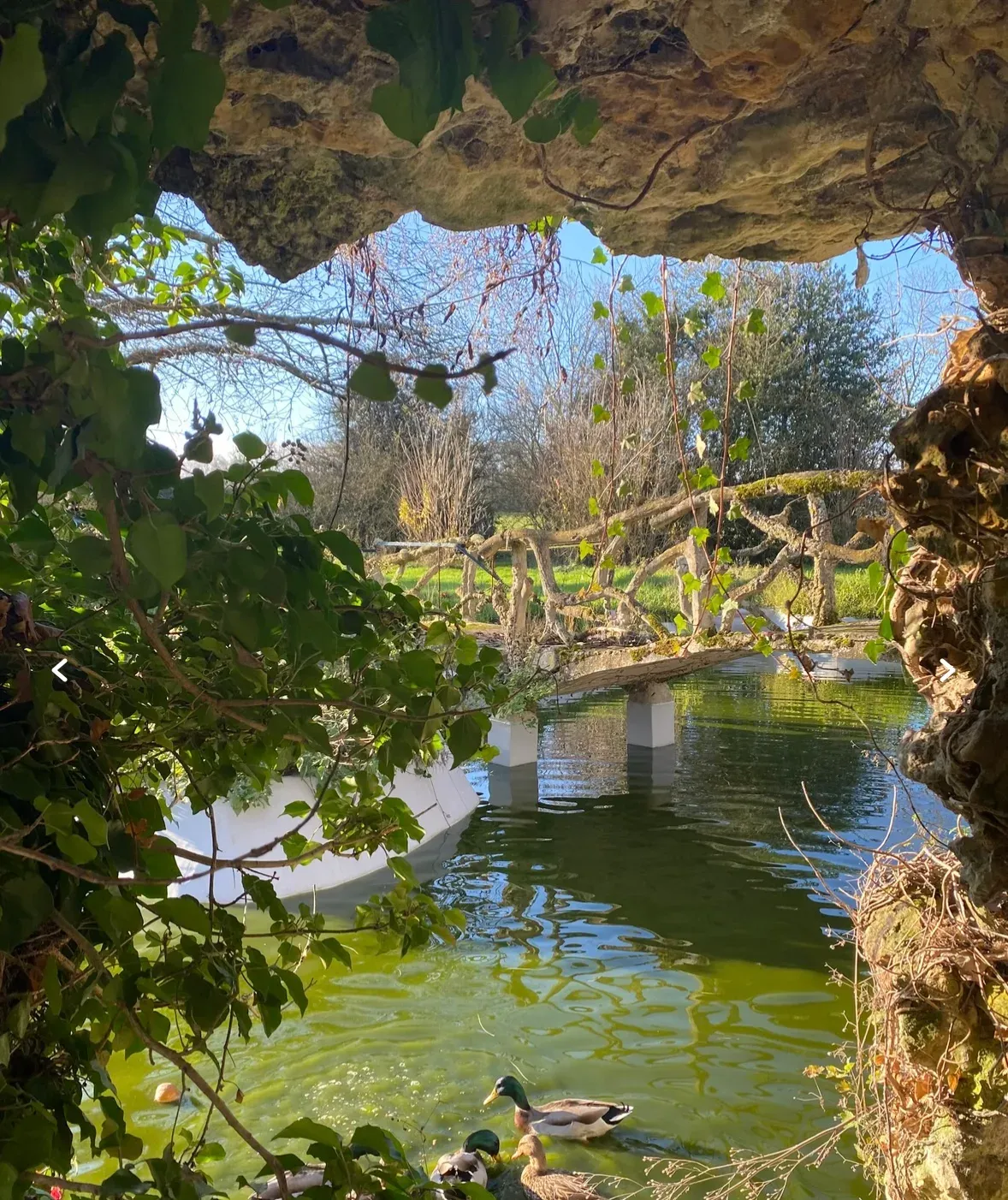 An estate in the heart of nature✨