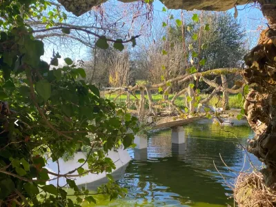 An estate in the heart of nature✨