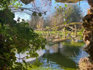 An estate in the heart of nature✨