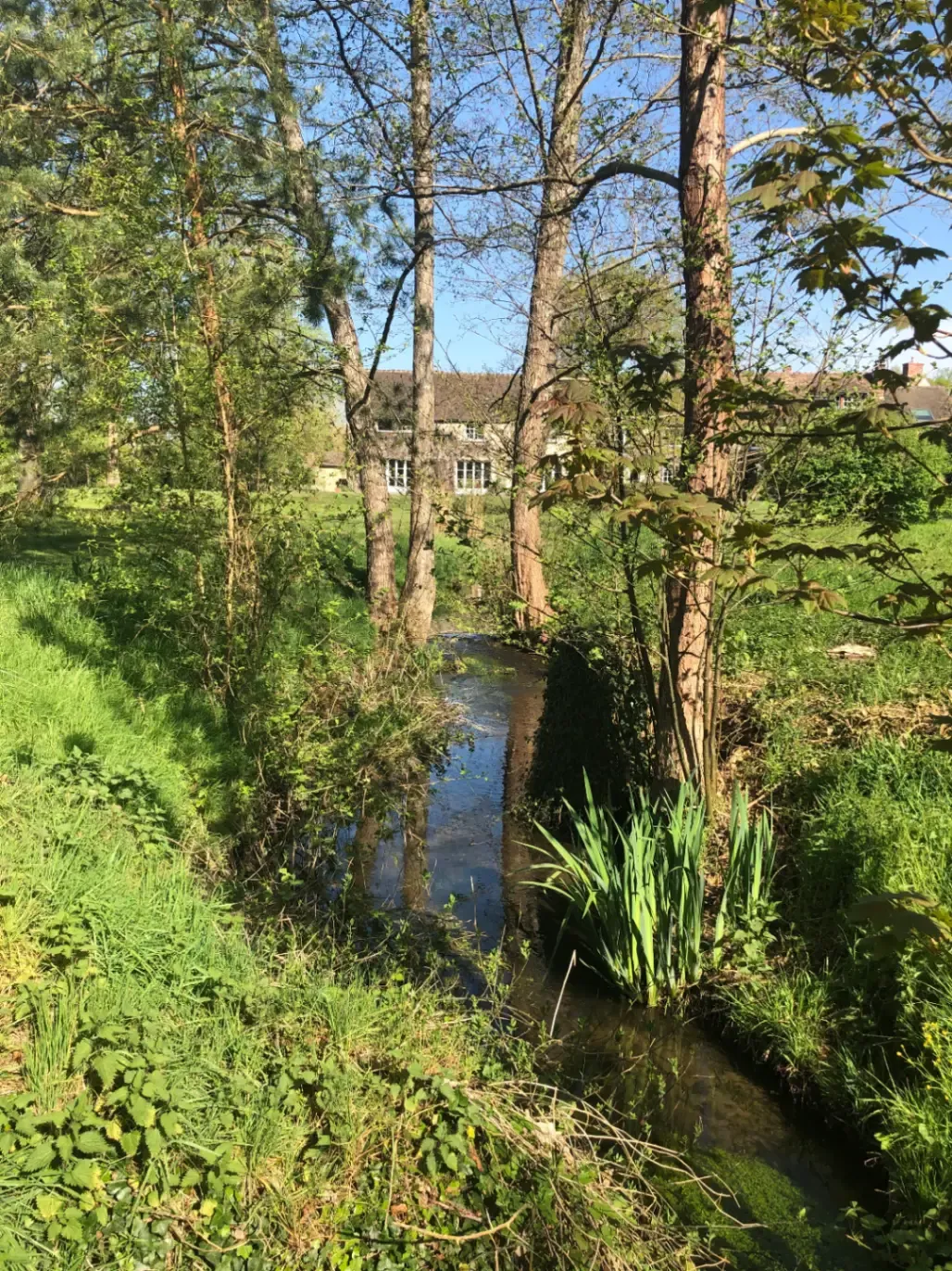 Old 18th-century mill: a natural interlude