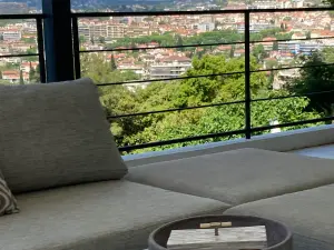 Villa Cannes Californie near town centre