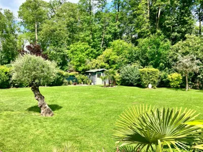 American-style house with forest views