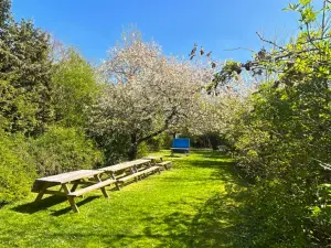 Gîtes Rustiques en Picardie : Idéaux pour Séminaires et Retraites