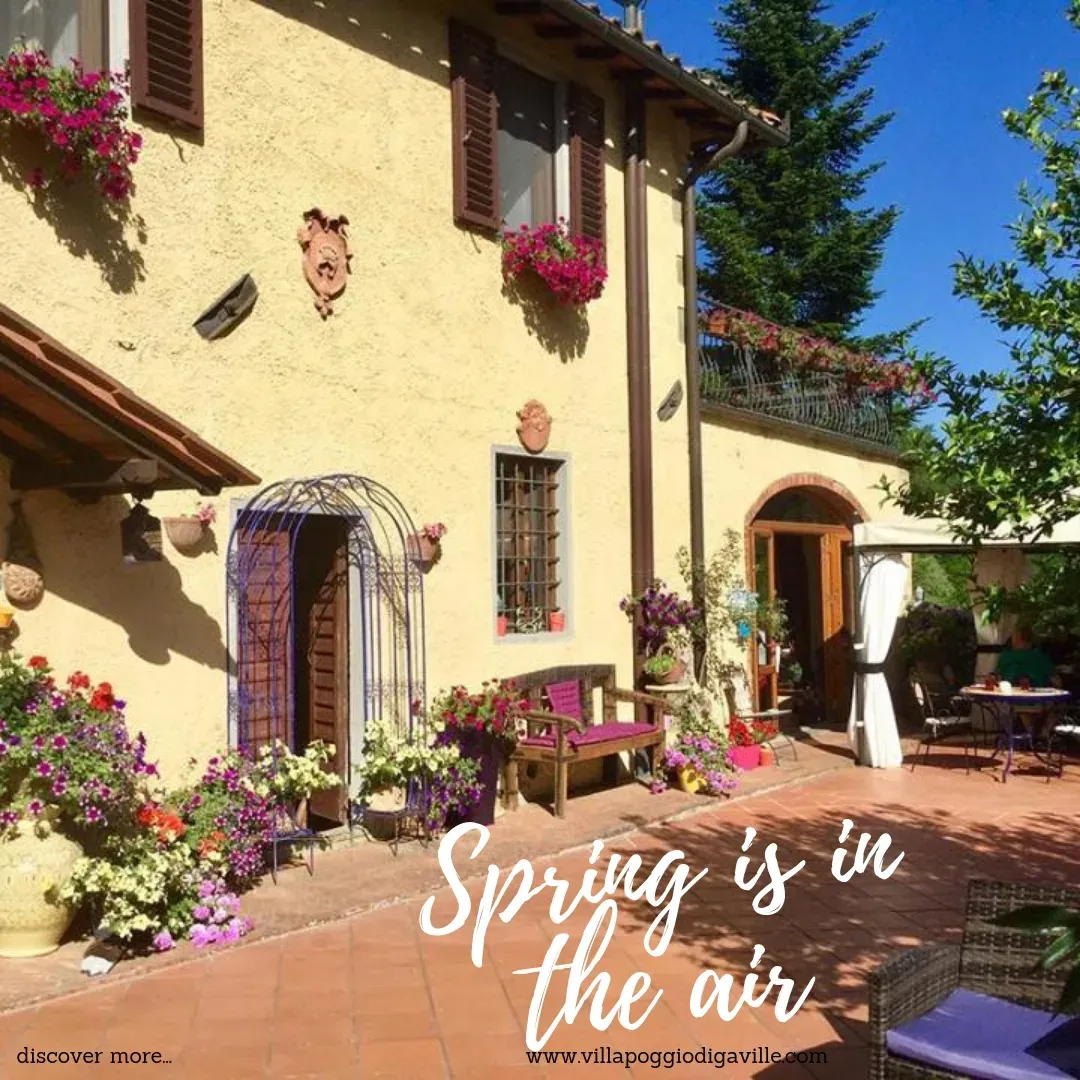 Magnificent 18th century villa in an idyllic setting near Chianti