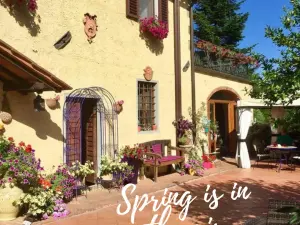 Magnificent 18th century villa in an idyllic setting near Chianti