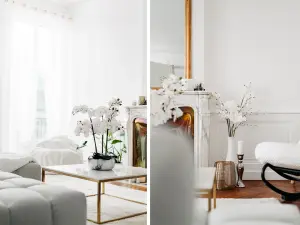 Appartement haussmannien d'exception / luxe