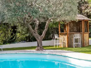 Elegant 6-Bedroom Cannes Villa with Pool, Spa & Terrace