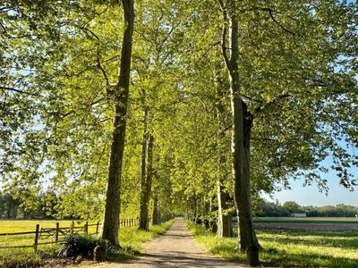 Exclusive 17th Century Chateau in Provence