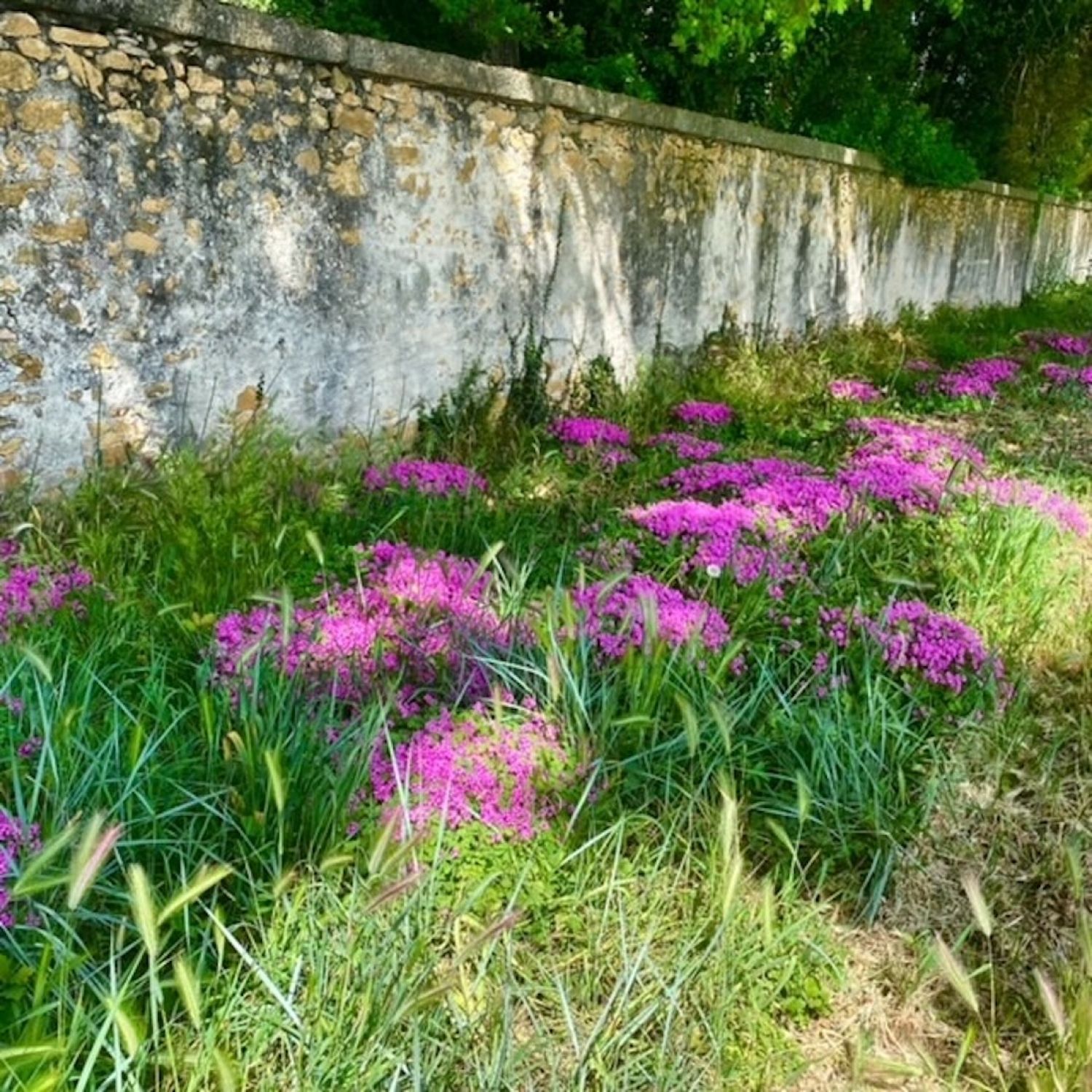 Exclusive 17th Century Chateau in Provence