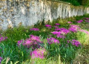 Exclusive 17th Century Chateau in Provence