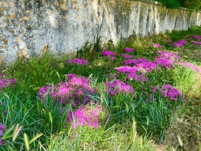 Exclusive 17th Century Chateau in Provence