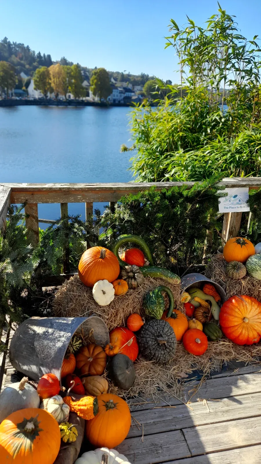Beautiful lakeside garden with large wooden terrace overlooking the water