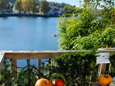 Beautiful lakeside garden with large wooden terrace overlooking the water