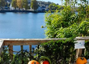 Beautiful lakeside garden with large wooden terrace overlooking the water