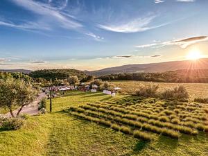 Provençal Hamlet In Parc Du Luberon