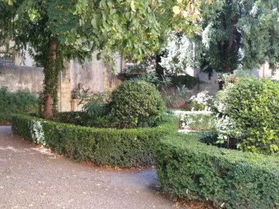 Shady garden in the town centre