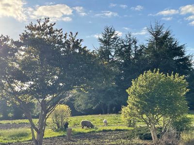 Domaine Élégant dans le Golfe du Morbihan avec Piscine et Jardins