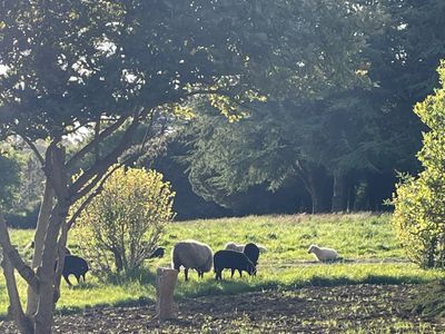 Domaine Élégant dans le Golfe du Morbihan avec Piscine et Jardins