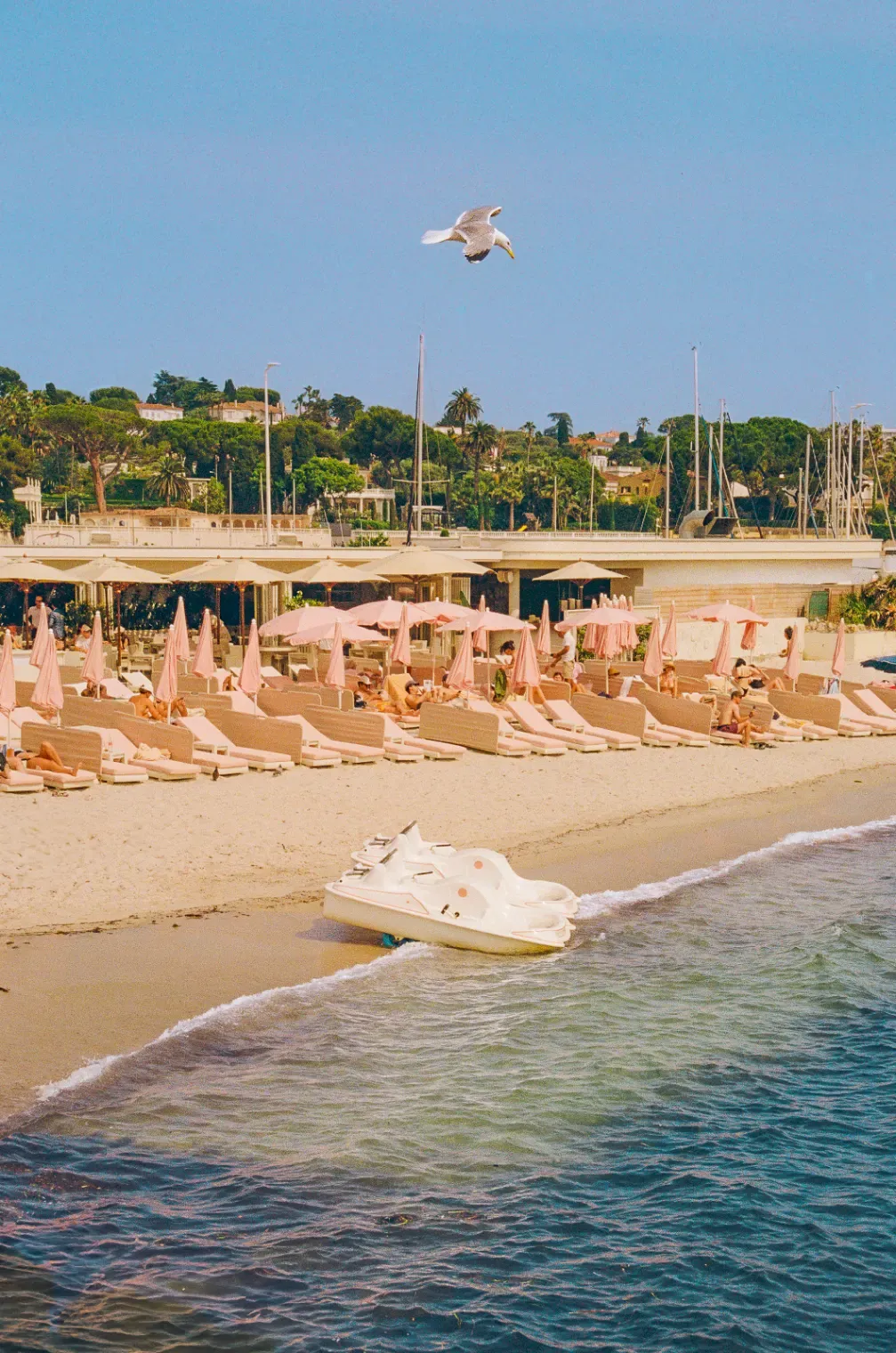 Private beach and restaurant terrace - Between fine sand and sunny terrace