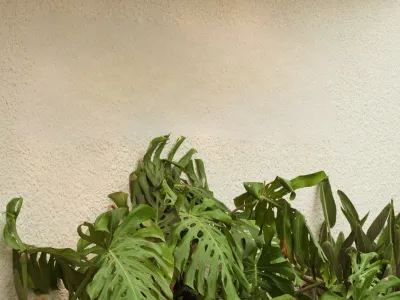 Flexible meeting room and patio area in a renowned hotel