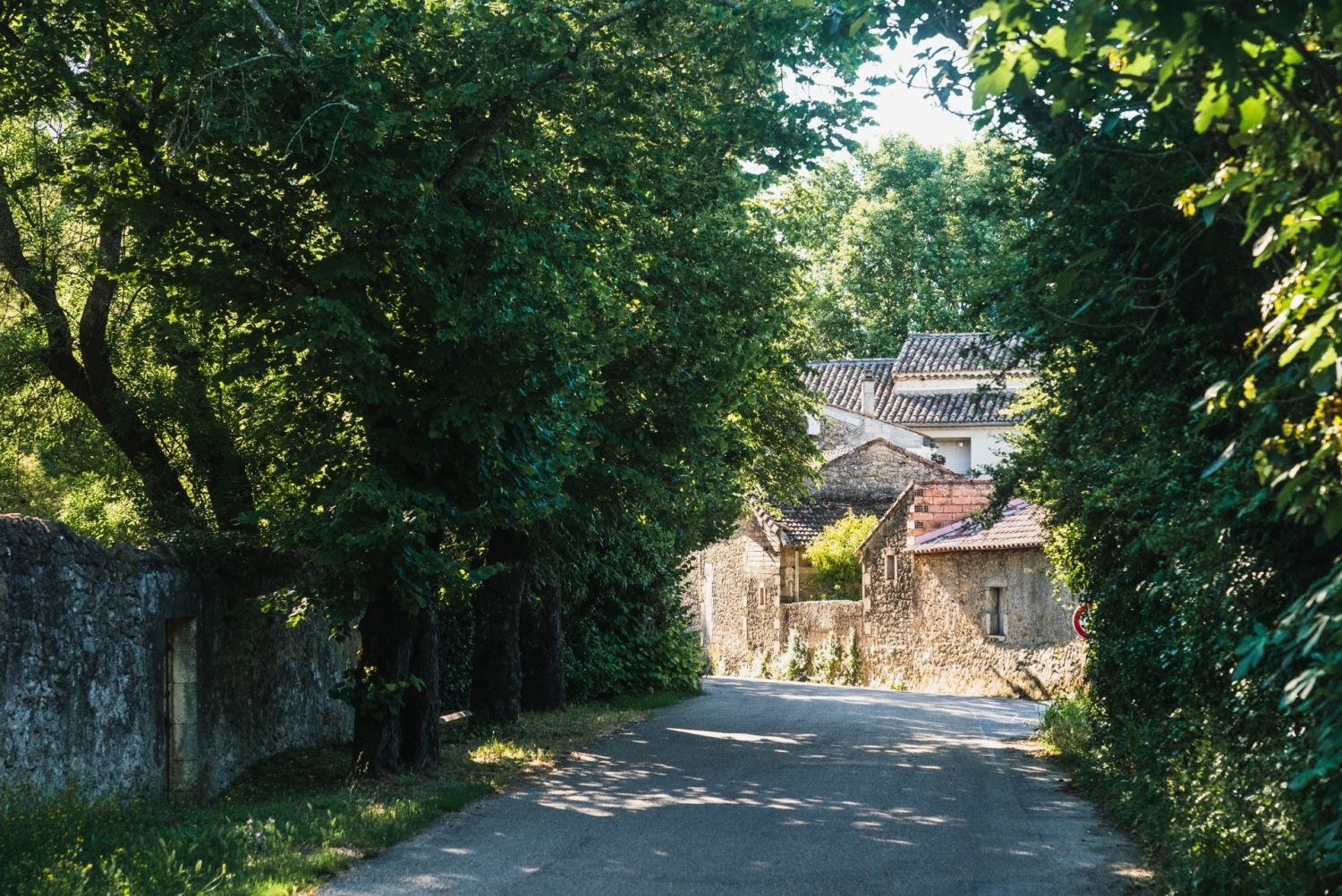 Cévennes farmhouse with swimming pool - tennis