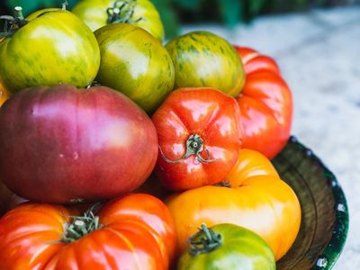 Cévennes farmhouse with swimming pool - tennis
