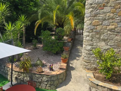 Garden with beautiful saltwater infinity pool