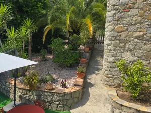 Garden with beautiful saltwater infinity pool