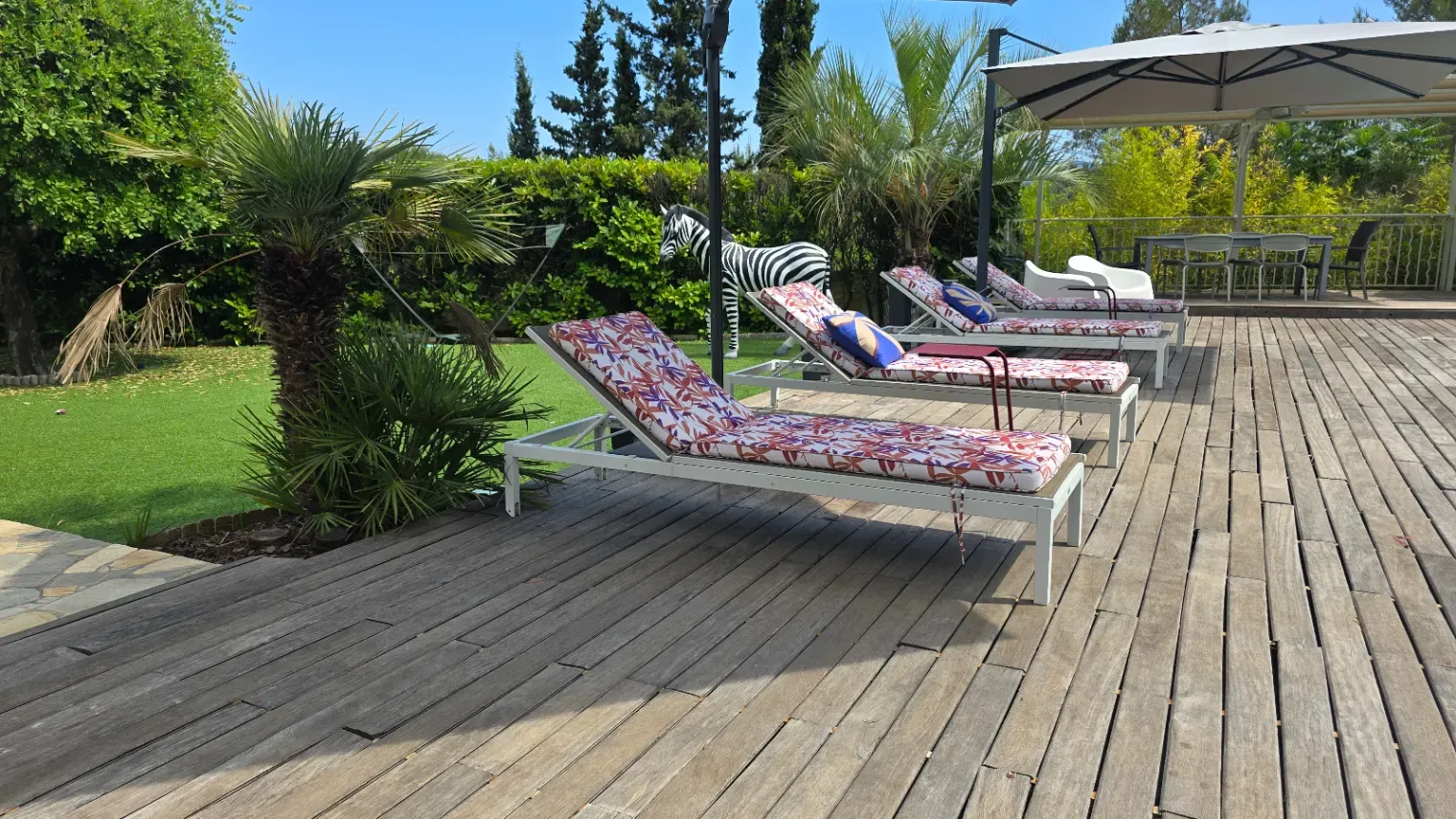 Garden with beautiful saltwater infinity pool