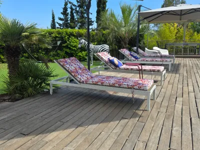 Garden with beautiful saltwater infinity pool