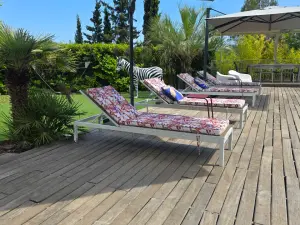 Garden with beautiful saltwater infinity pool
