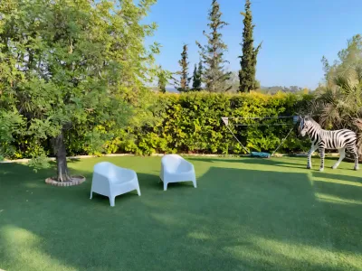 Garden with beautiful saltwater infinity pool