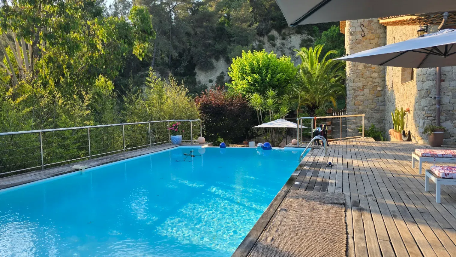 Garden with beautiful saltwater infinity pool